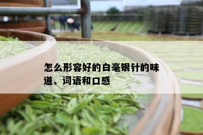 怎么形容好的白毫银针的味道、词语和口感