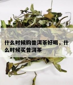 什么时候购普洱茶好喝，什么时候买普洱茶