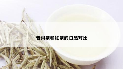 普洱茶和红茶的口感对比