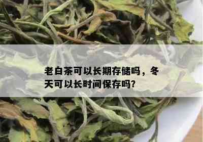 老白茶可以长期存储吗，冬天可以长时间保存吗？