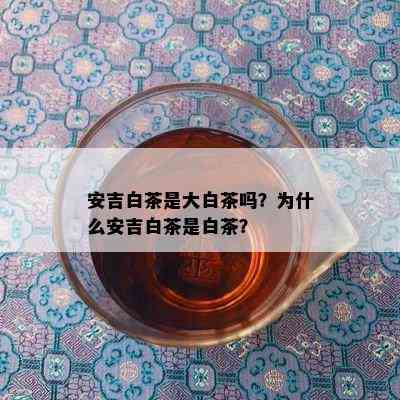 安吉白茶是大白茶吗？为什么安吉白茶是白茶？