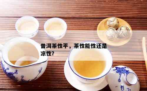 普洱茶性平，茶性能性还是凉性？