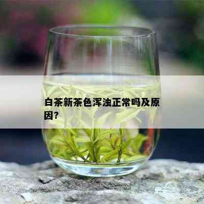 白茶新茶色浑浊正常吗及原因?