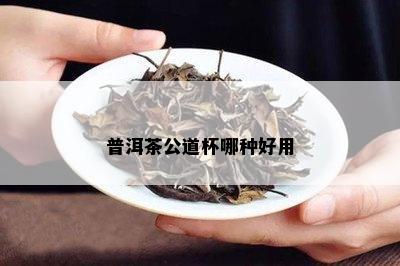 普洱茶公道杯哪种好用