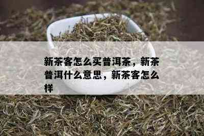 新茶客怎么买普洱茶，新茶普洱什么意思，新茶客怎么样