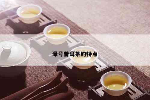 泽号普洱茶的特点