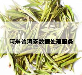 阿米普洱茶数据处理服务