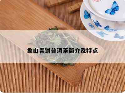 象山青饼普洱茶简介及特点