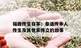 福鼎传生白茶：非遗传承人传生及其世家传立的故事