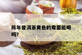 陈年普洱茶黄色的霉菌能喝吗？