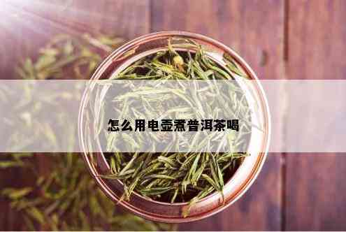 怎么用电壶煮普洱茶喝