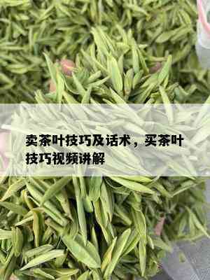 卖茶叶技巧及话术，买茶叶技巧视频讲解