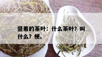 竖着的茶叶：什么茶叶？叫什么？梗。