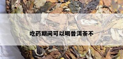 吃期间可以喝普洱茶不