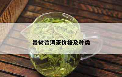 景树普洱茶价格及种类