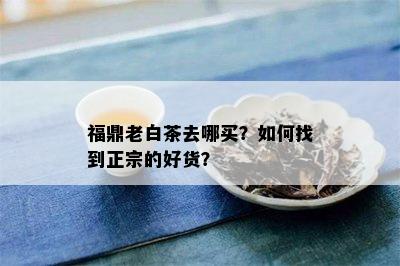 福鼎老白茶去哪买？如何找到正宗的好货？