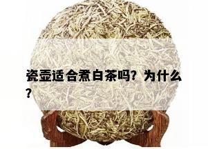 瓷壶适合煮白茶吗？为什么？