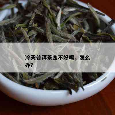 冷天普洱茶变不好喝，怎么办？