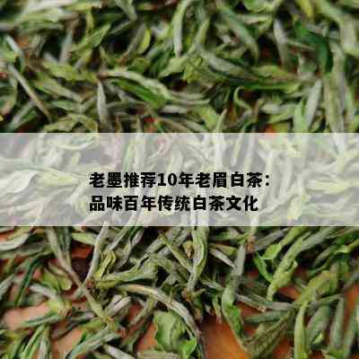 老墨推荐10年老眉白茶：品味百年传统白茶文化