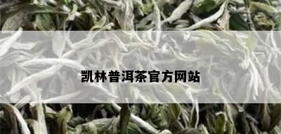 凯林普洱茶官方网站