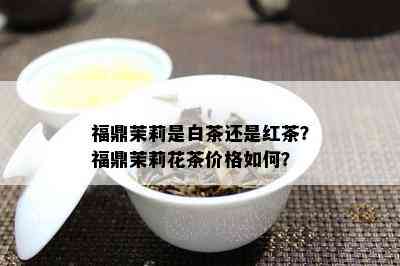 福鼎茉莉是白茶还是红茶？福鼎茉莉花茶价格如何？