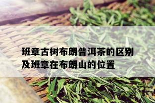 班章古树布朗普洱茶的区别及班章在布朗山的位置