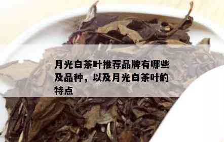 月光白茶叶推荐品牌有哪些及品种，以及月光白茶叶的特点