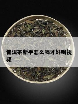 普洱茶新手怎么喝才好喝视频