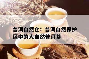 普洱自然仓：普洱自然保护区中的大自然普洱茶