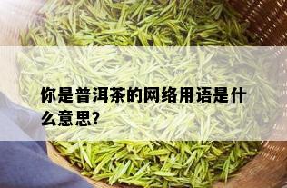 你是普洱茶的网络用语是什么意思？