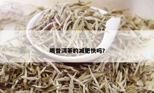 喝普洱茶的减肥快吗？