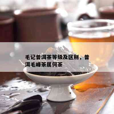 毛记普洱茶等级及区别，普洱毛峰茶属何茶