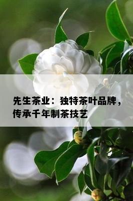 先生茶业：独特茶叶品牌，传承千年制茶技艺