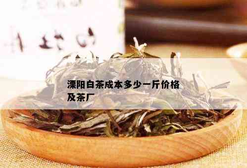 溧阳白茶成本多少一斤价格及茶厂