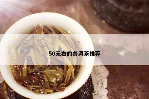 50元右的普洱茶推荐