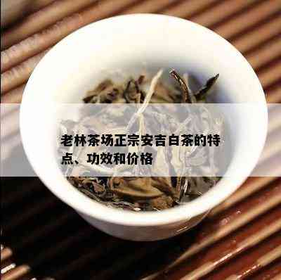 老林茶场正宗安吉白茶的特点、功效和价格