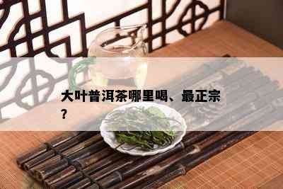 大叶普洱茶哪里喝、最正宗？