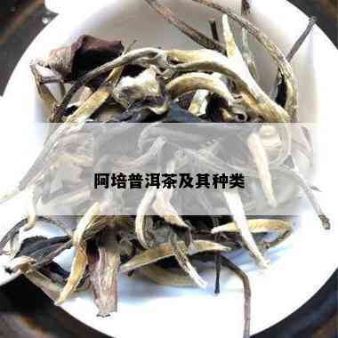 阿培普洱茶及其种类