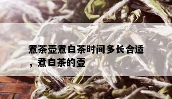 煮茶壶煮白茶时间多长合适，煮白茶的壶