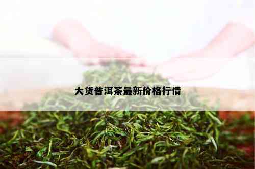 大货普洱茶最新价格行情