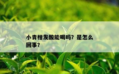 小青柑发酸能喝吗？是怎么回事？