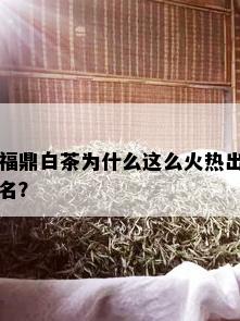 福鼎白茶为什么这么火热出名？