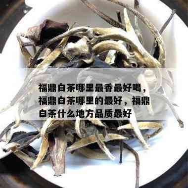 福鼎白茶哪里最香更好喝，福鼎白茶哪里的更好，福鼎白茶什么地方品质更好