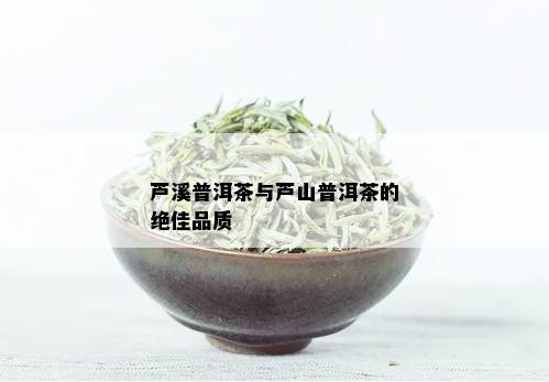 芦溪普洱茶与芦山普洱茶的绝佳品质