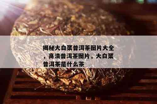 揭秘大白菜普洱茶图片大全，高清普洱茶图片，大白菜普洱茶是什么茶