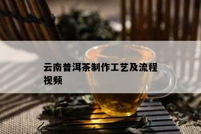 云南普洱茶制作工艺及流程视频