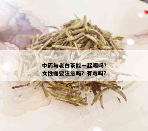 中与老白茶能一起喝吗？女性需要注意吗？有吗？