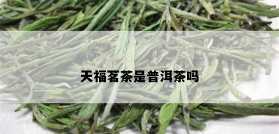 天福茗茶是普洱茶吗