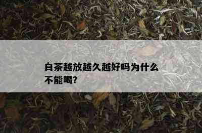 白茶越放越久越好吗为什么不能喝？