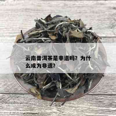 云南普洱茶是非遗吗？为什么成为非遗？